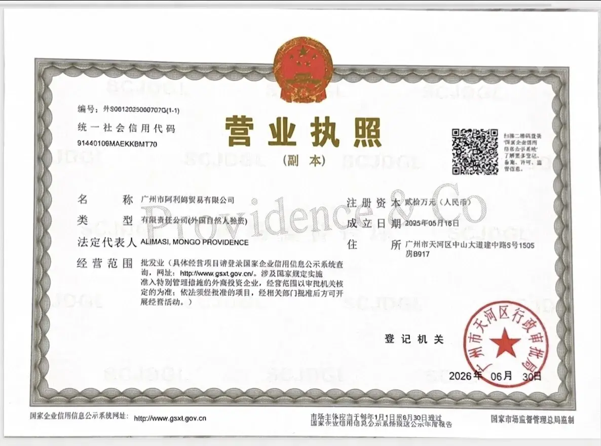 Providence & Co Business License